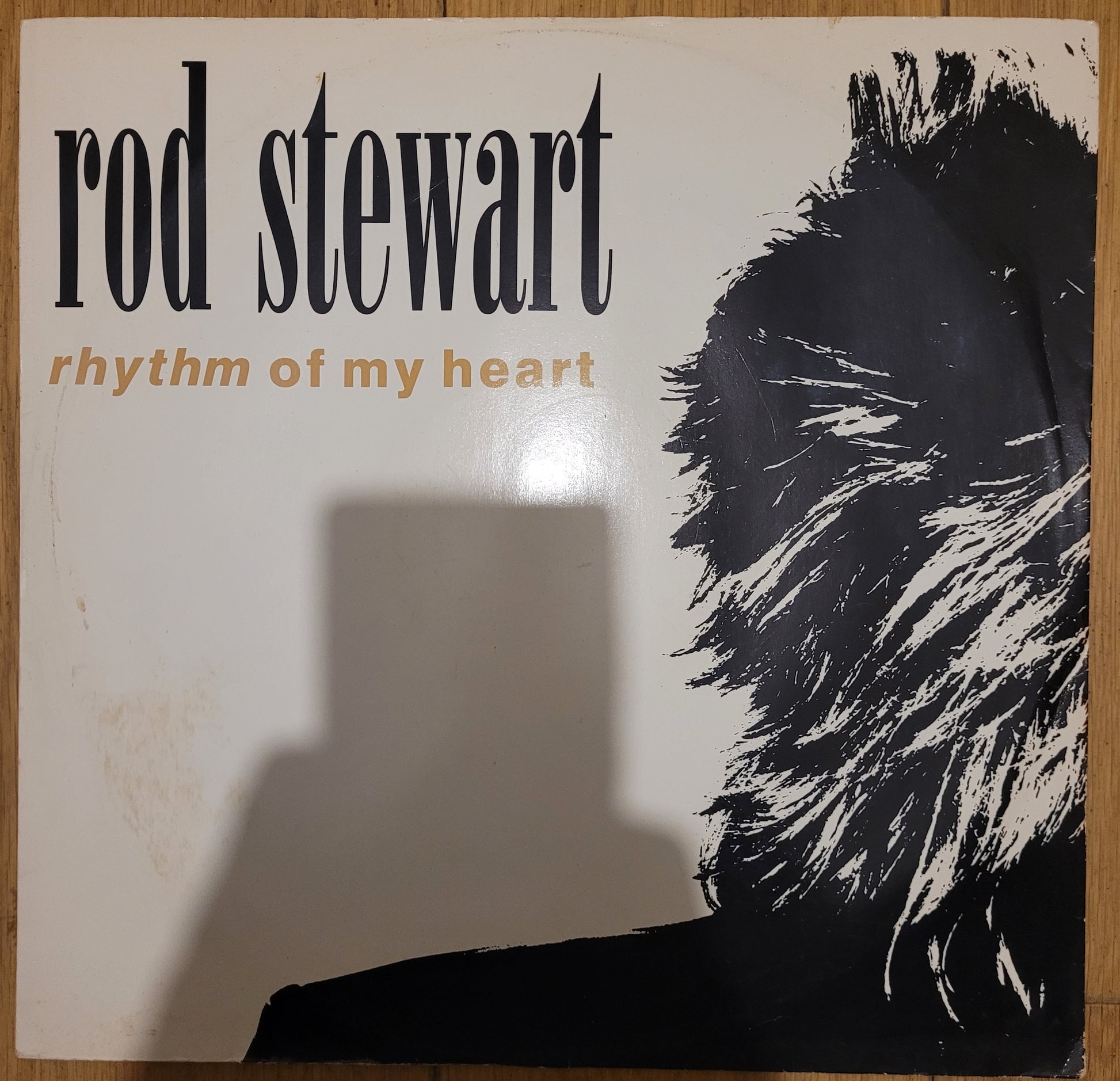 Rhythm Of My Heart by Rod Stewart from Warner Bros Records (W0017T)