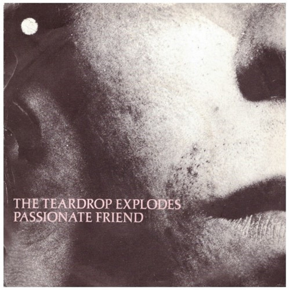 7" 45RPM Passionate Friend/Christ Versus Warhol by The Teardrop Explodes from Mercury (Tear 5)