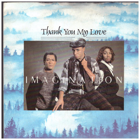 Thank You My Love by Imagination from R & B Records (RBS 219)